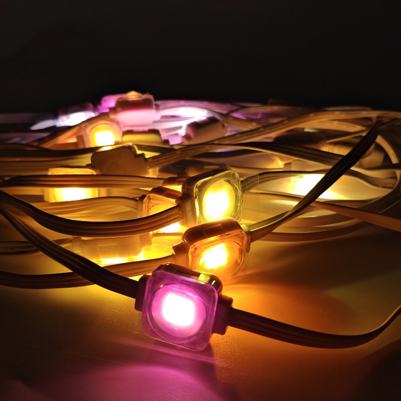 24V IP67 LED Outside Christmas Lights for Home Decoration SPI Control LED Suppliers