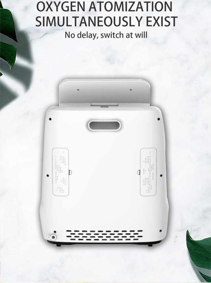 Low Price Factory Portable Medical Oxygen Concentrator 10litar oxygen-concentrator medical grade