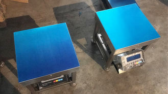 Industry blue Weighing platform Scale TFBS SS304 40cm 200 Kg IP66 Explosion Proof Bench size 380x380mm 220V/50HZ