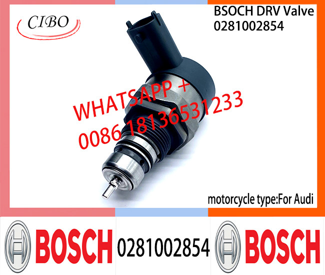 BOSCH DRV Valve 0281002854 Control Valve 0281002854 for AUDI