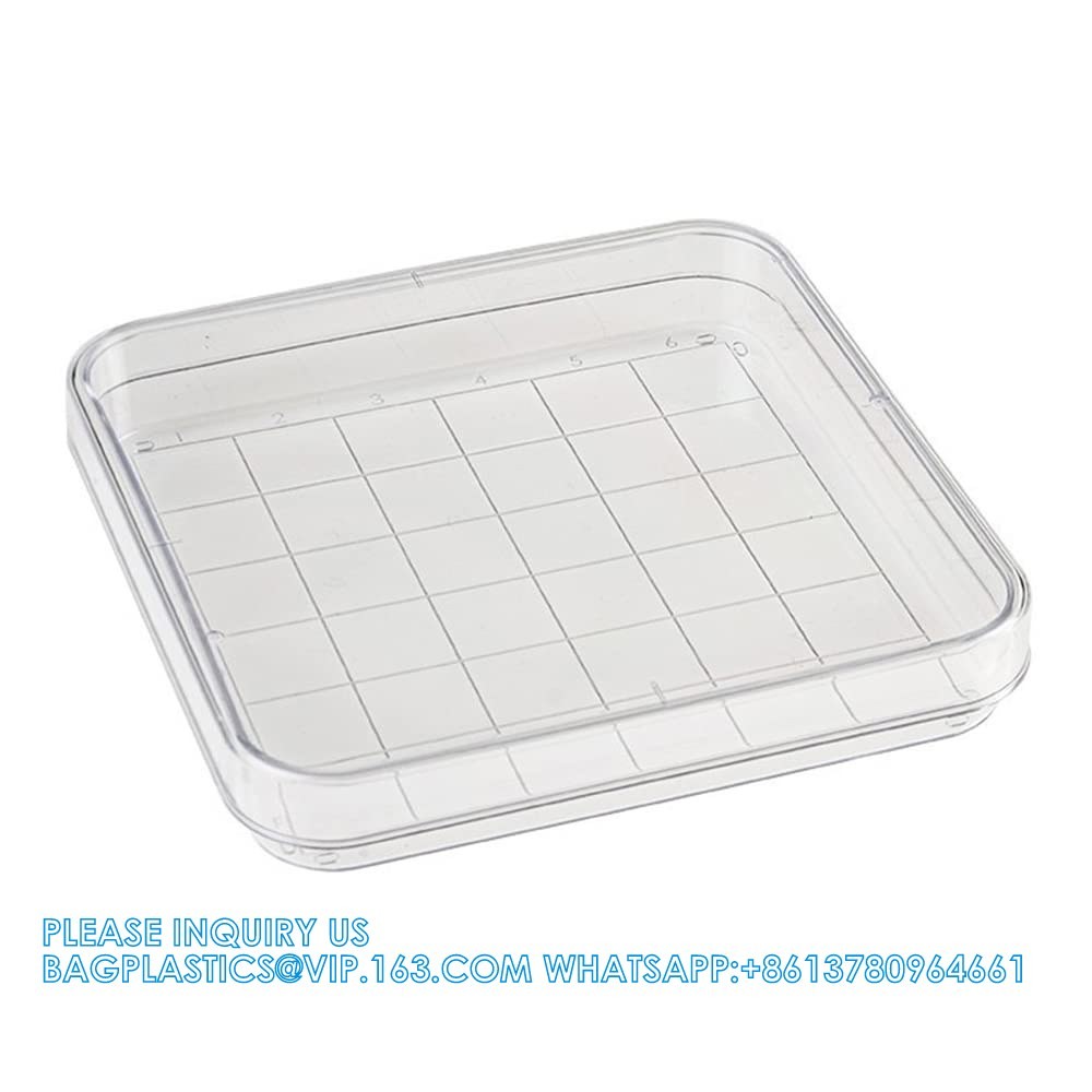Polystyrene Square Integrid Petri Dish Container for School Lab Science Experiment Alphanumeric Gridlines