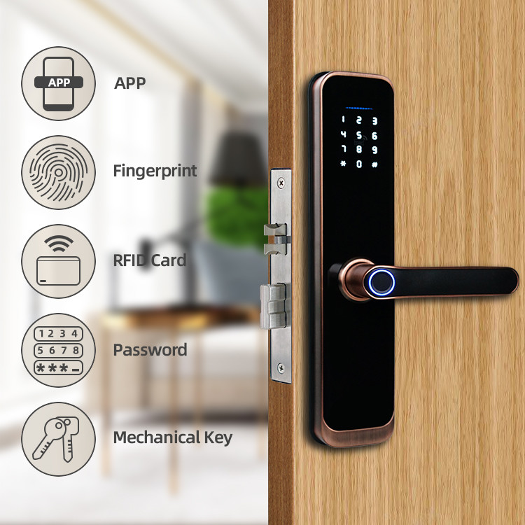 Remote Control Face Recognition Door Lock FCC Tuya Smart Door Lock