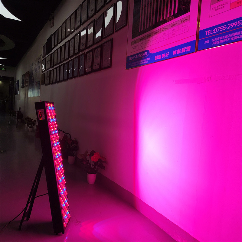 OEM/ODM High Efficiency 7 Wavelengths 480/630/660/670/810/830/850 Infrared Device