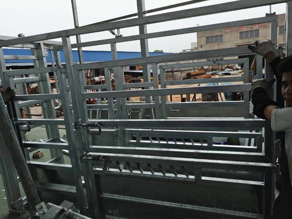 horse cattle panels