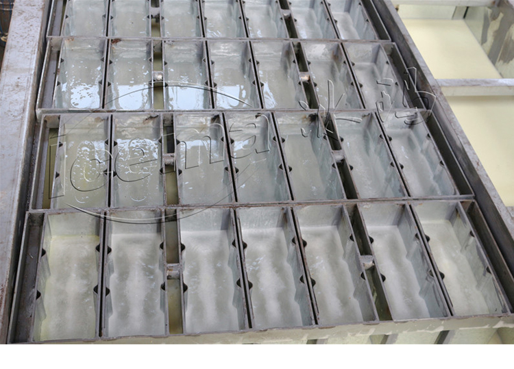 Mini Ice Plant 1 Ton Compact Ice Block Machine with Schneider Electric Components
