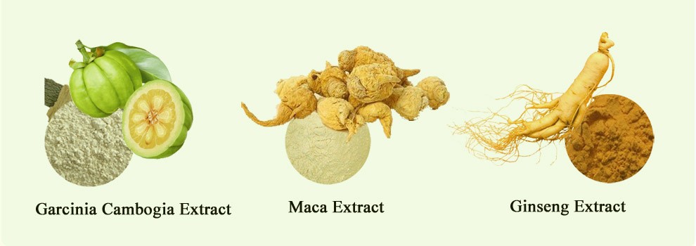 Factory Price Natural Cactus Extract for Medicine