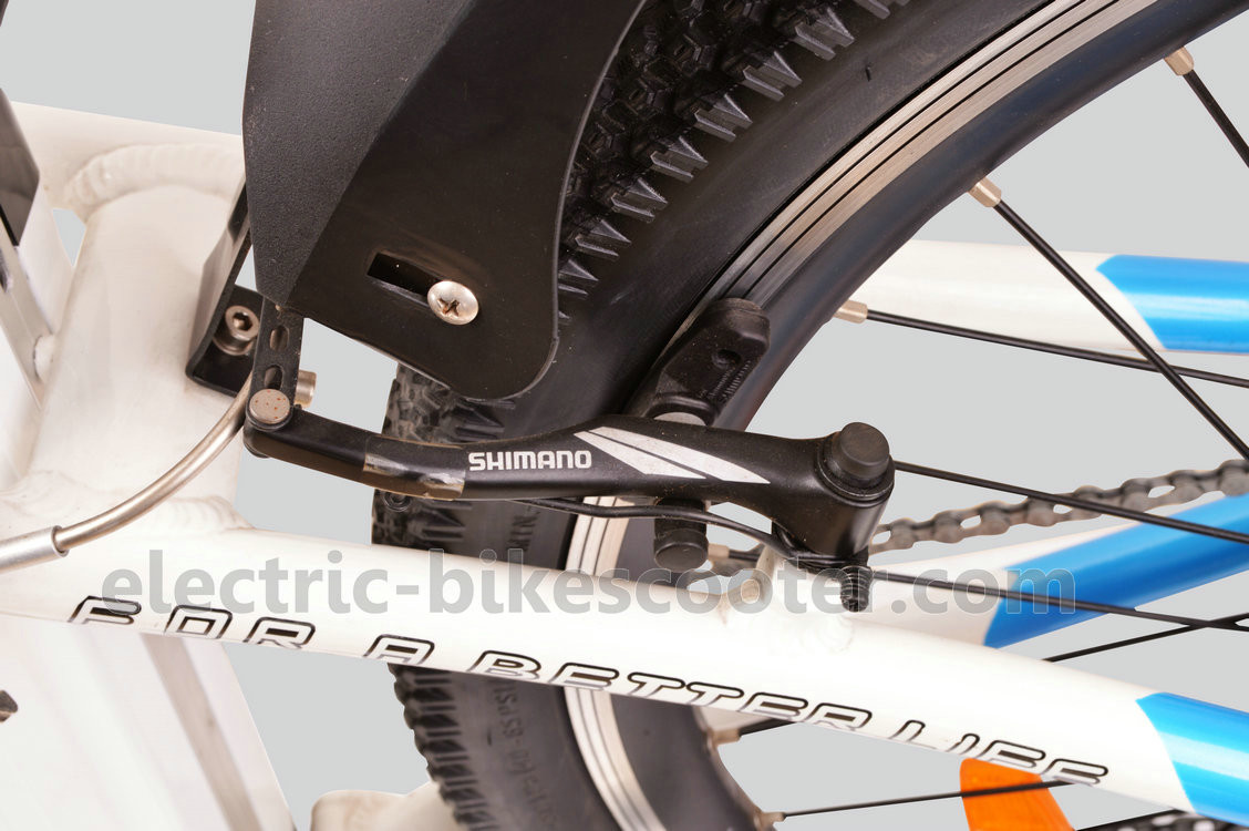 Full Suspension Electric Mountain Bicycles 250W 36V 65km 6 Speed
