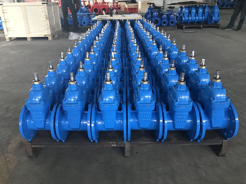 Resilient Soft Seat F4 Gate Valve DIN3352 F4 Cast Iron Non Rising Stem