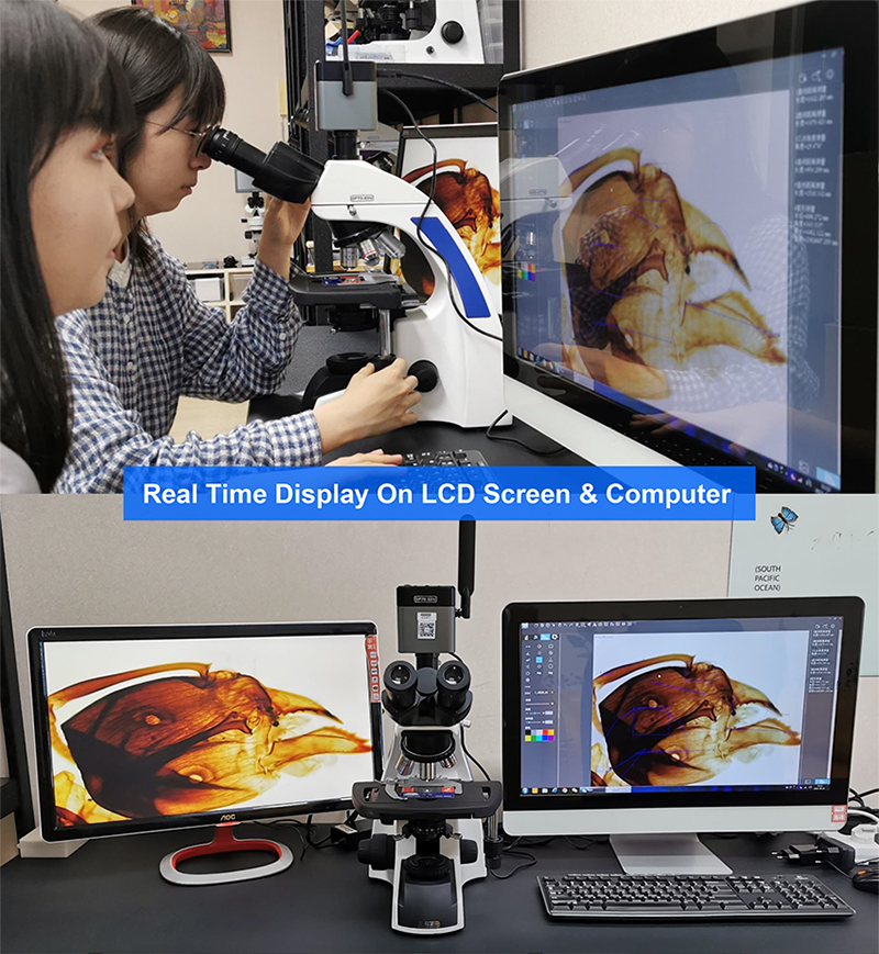 infinity Plan Achromatice Compound Optical Microscope 3W LED A12.1502 Backward Quadruple Nosepiece
