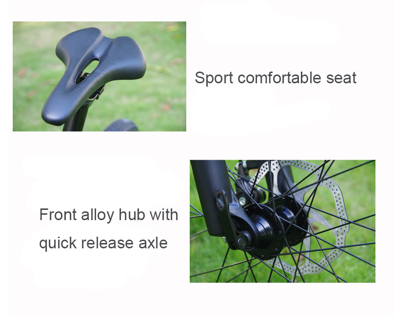 26 Inch 250W 350W Electric Mountain Bicycle 48V Lithium Battery And 24 Speed Gears