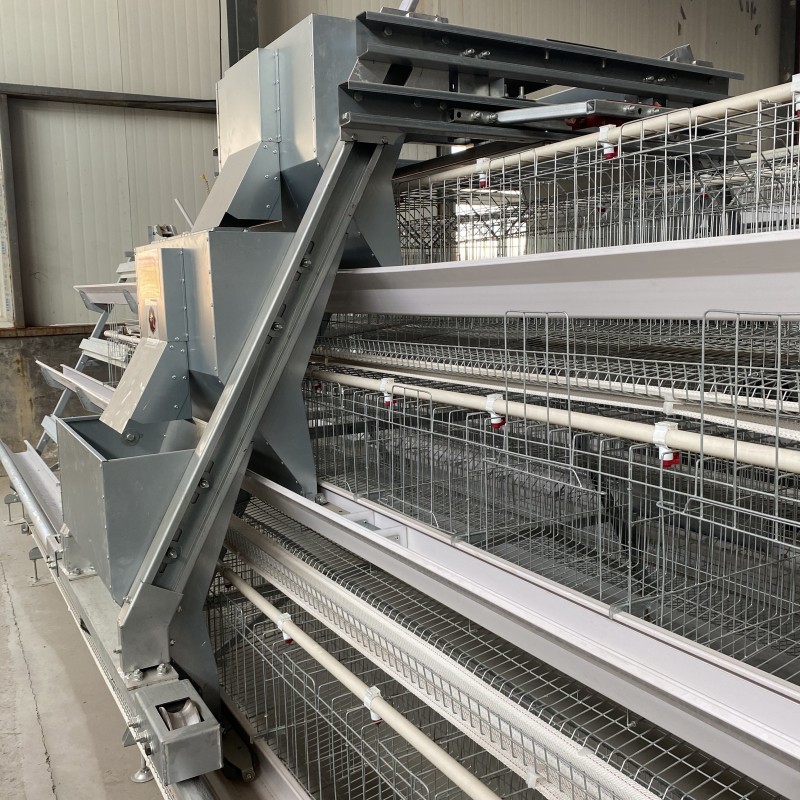 A Type Egg Layer Battery Chicken Cage With Automatic Egg Collection System