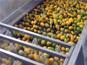 Industrial Mango Processing Line For Mango Juice Jam Stainless Steel machine 5 t/h
