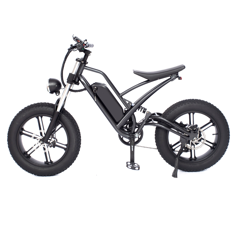 750W Off-Road Electric Fat Tire Bike with 48V 13Ah Lithium Battery and 180kg Load Capacity