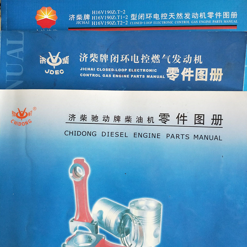 G12V190zldt1-2 Jinan Natural Gas Generator Parts Water Pump