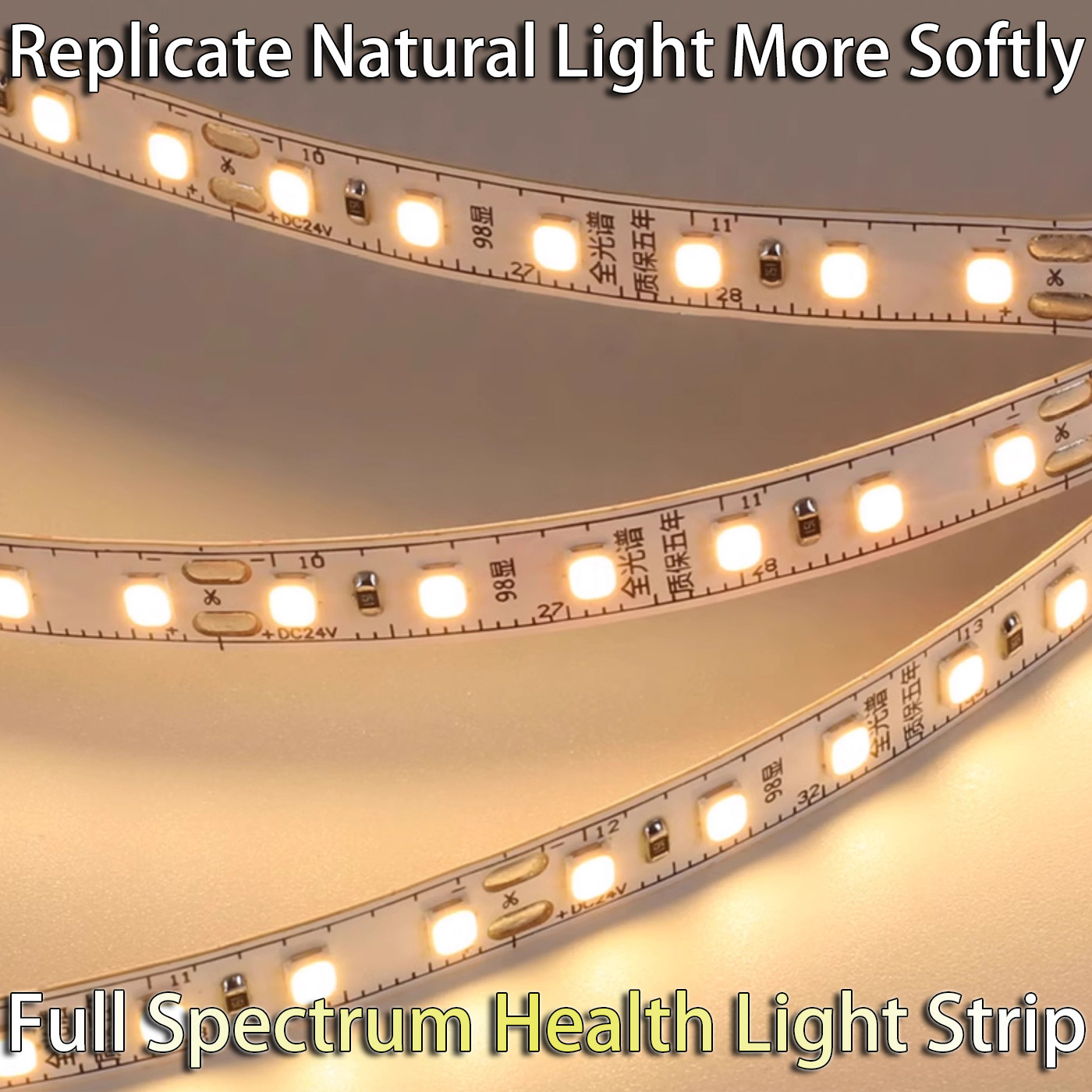 24v LED Light Strip for Cargo Counters and Ceiling Troughs Self-Adhesive