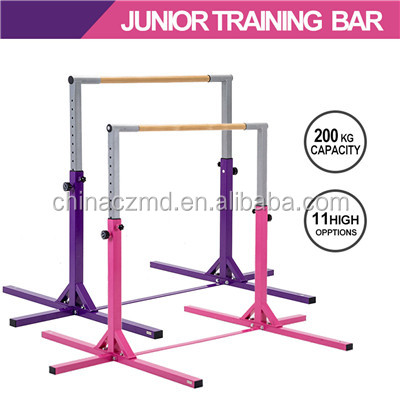 Children Gym Ladder Steel Pipe 4m*0.8m*2m Monkey Bar for Outdoor and Indoor Exercise