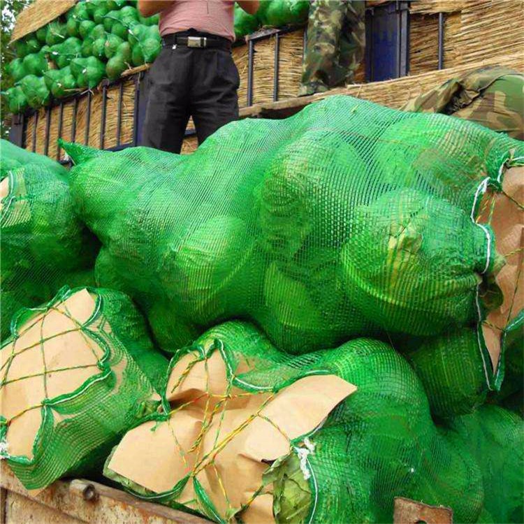 Rashel Fruit Garlic PE Wire Mash Net Bag For Acceptable Customer Logo