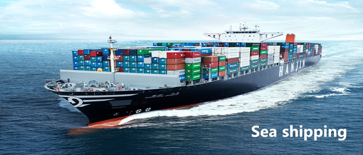 Delivered Duty Paid Sea Shipping From China To USA