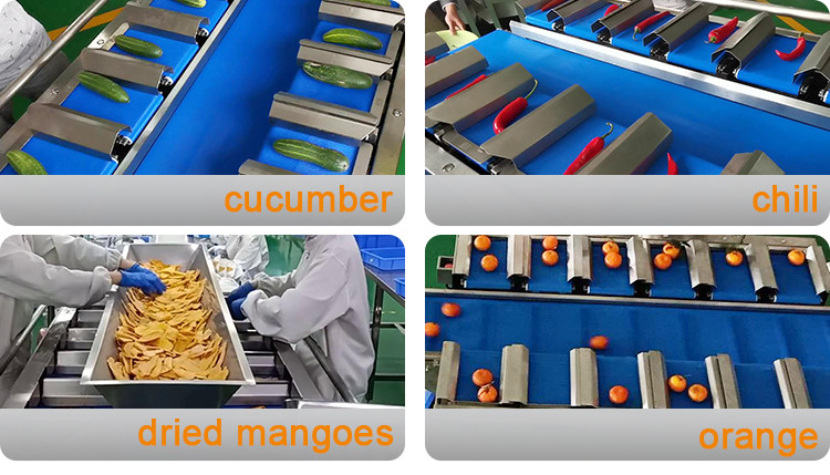 12 Belt 160 Combination Weigher For Fruit Vegetable Aquatic Products