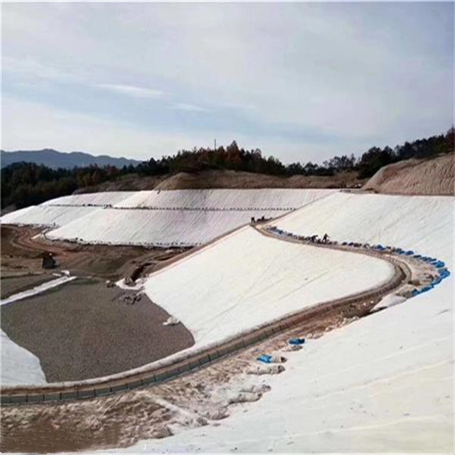 Drainage Engineering Solution 3D Geocomposite Drainage Mat with 5mm-12mm Geonet Core