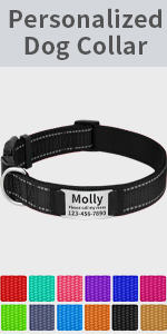 double dog leash