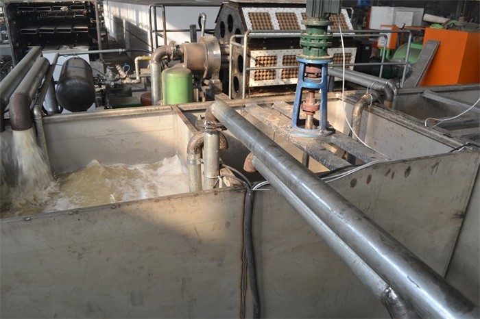 Easy Operate Paper Pulp Molding Machine Egg Packaging Box Maker