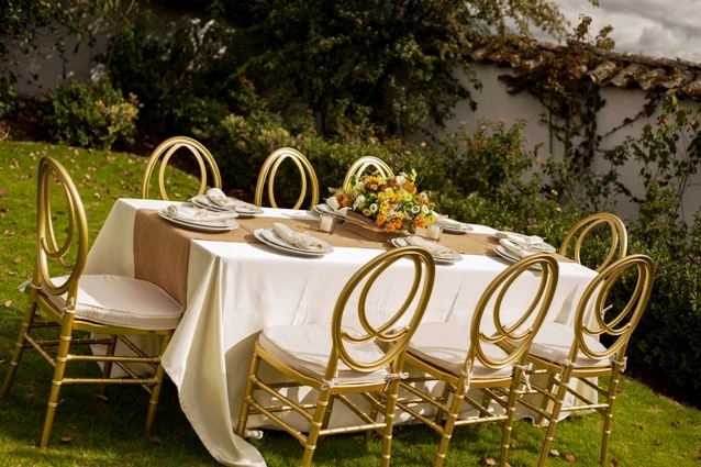 Phoenix Silver Chiavari Chairs Commercial Gold Chiavari Chairs