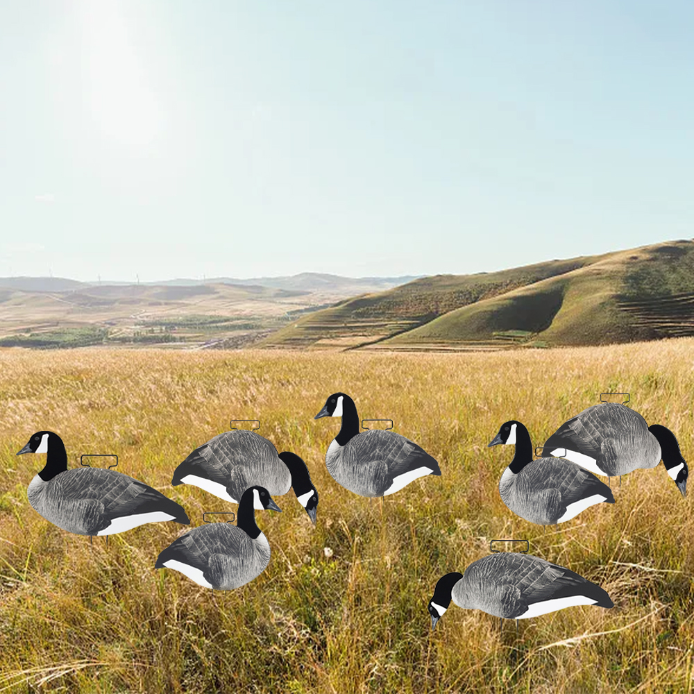 Grey Canada Snow Goose Hunting Decoy With Flocked Head Upright Or Feeder Body Style
