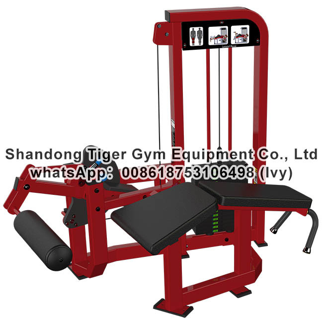 Single Station Gym fitness equipment machine Prone leg Curl exercise machine