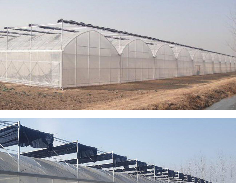 Double Layer PO Greenhouse Tunnel for Precise Temperature Control