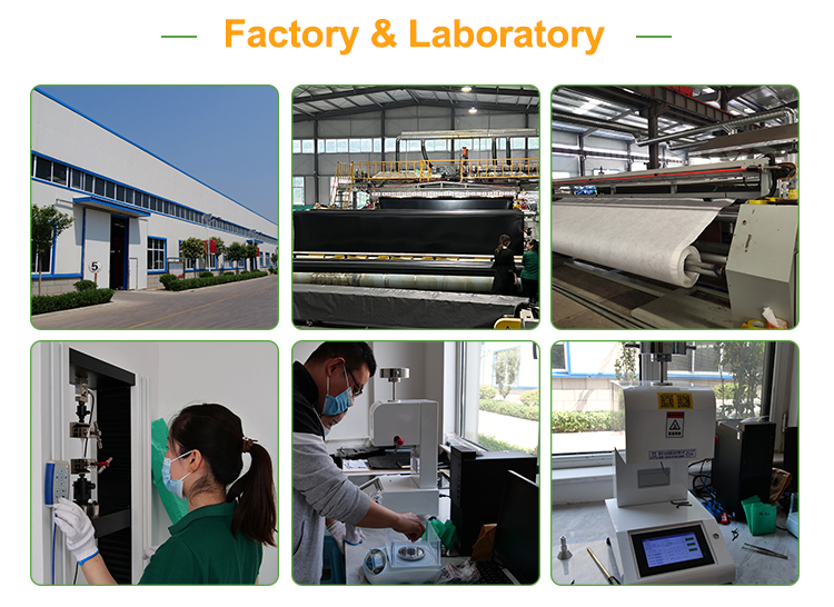 1mm 1.5mm 2mm HDPE Geomembrane Welding Machine Designed for Aquaculture Farming Needs