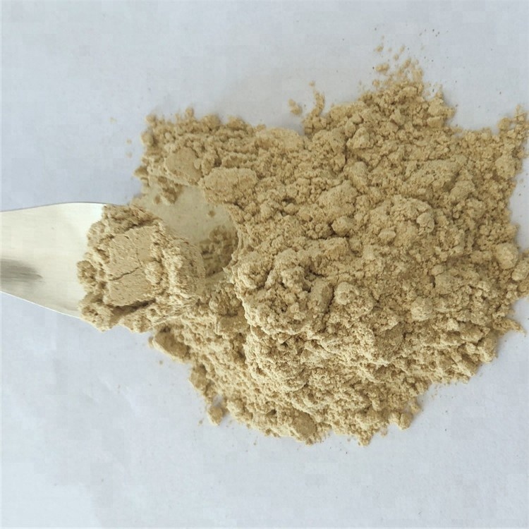 06Bitter  Melon Extract