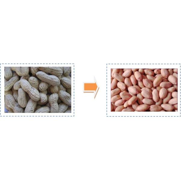 Hazelnut Cashew Nut Peanut Shelling Machine Industrial Pecan Cracker High Capacity