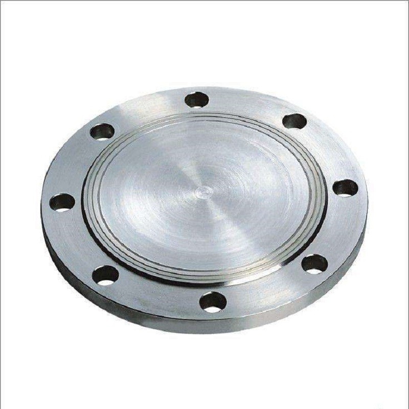 Plate Flange Pipe Fittings Carbon Steel Stainless Steel Forged Din 1500LB 2'' 304/316 Stainless Pipe Fitting Forged