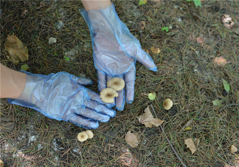 10 Inches Disposable TPE Gloves No Latex For Food Service