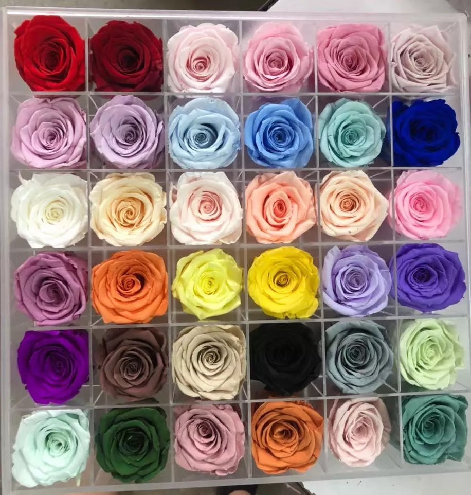 10cm Preserved Flower Rose with Stem Long 30cm Real natural fresh roses