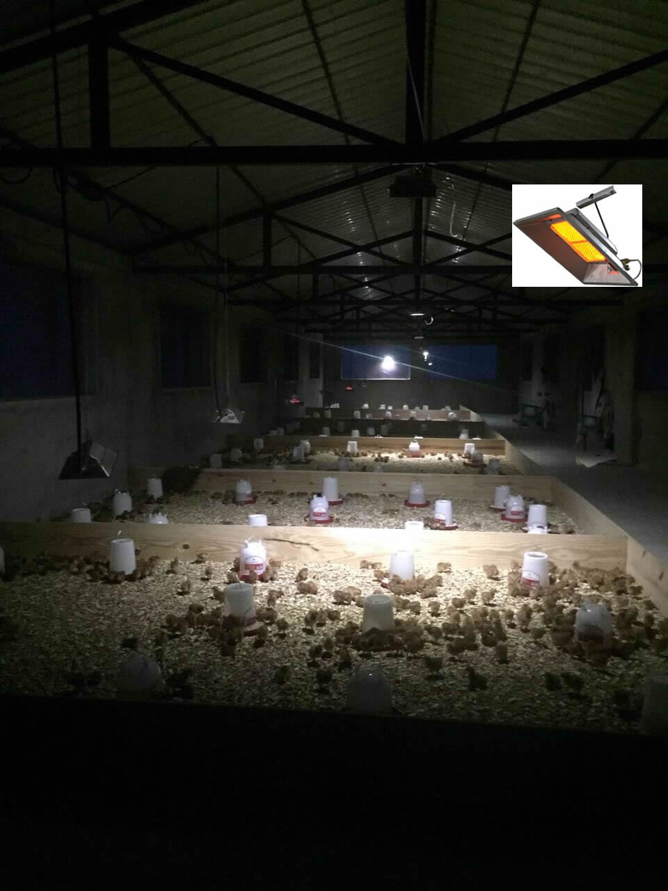 Catalytic Ceramic Infrared Heater 3000 - 5000pa Brooder Heater For Chicks