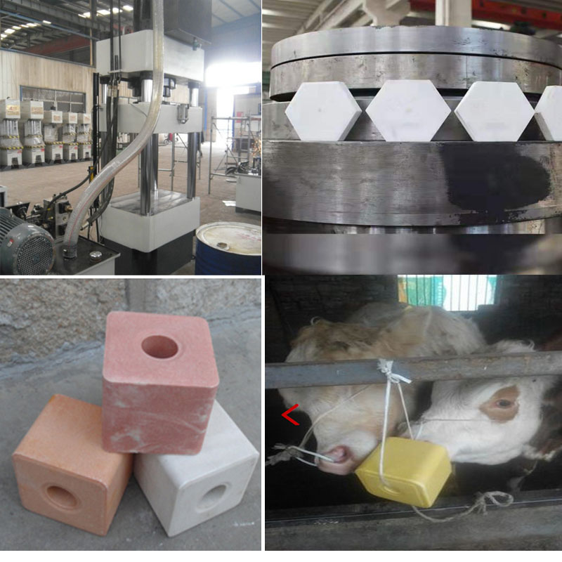 315T Hydraulic Animal Licking Water Softener Press Machine for Mineral Licking Blocks