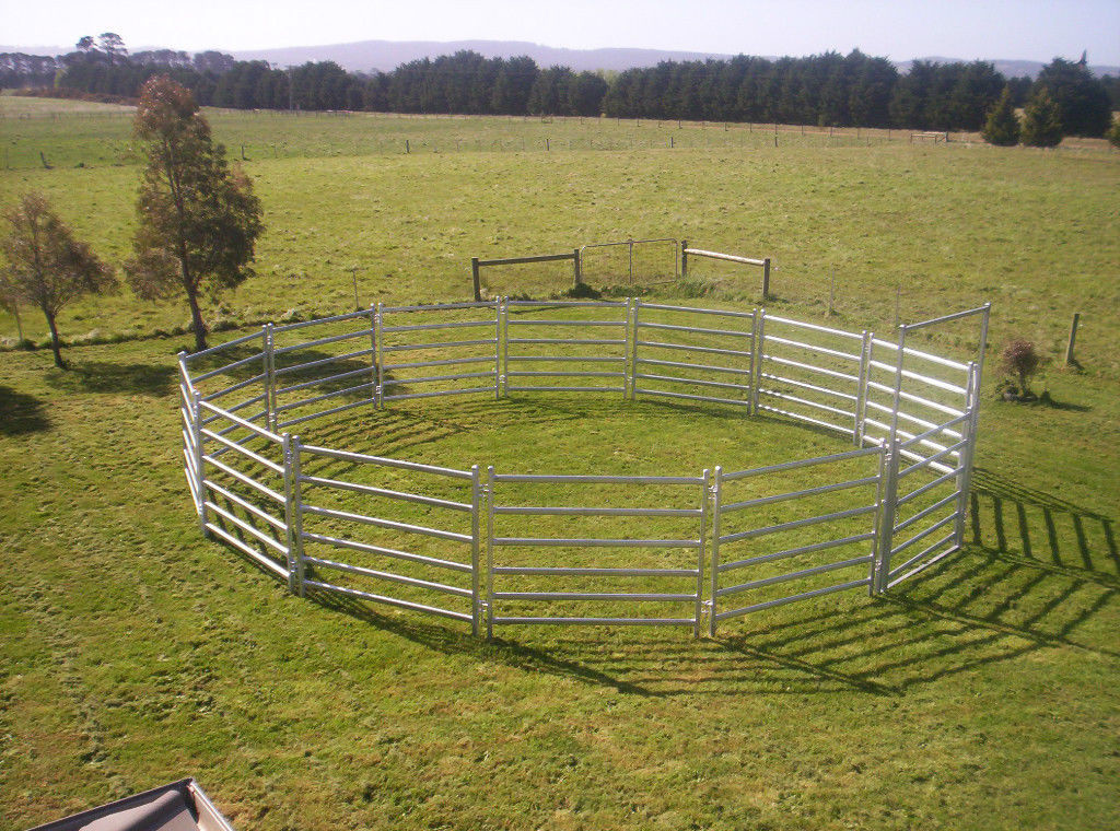Portable Corral Panels For Cattle Permanent Yards Heavy Duty Cattle Yards
