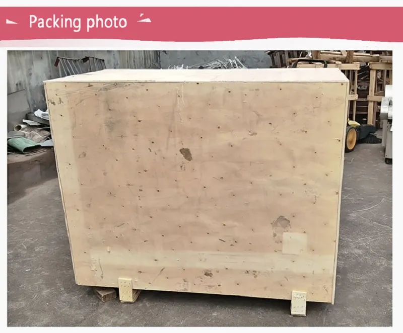 Commercial Used Automatic Electric Frozen Chicken Cube Nugget Bone Cutting Dicer Machine Beef Bone Pork Ribs Cutting Machine