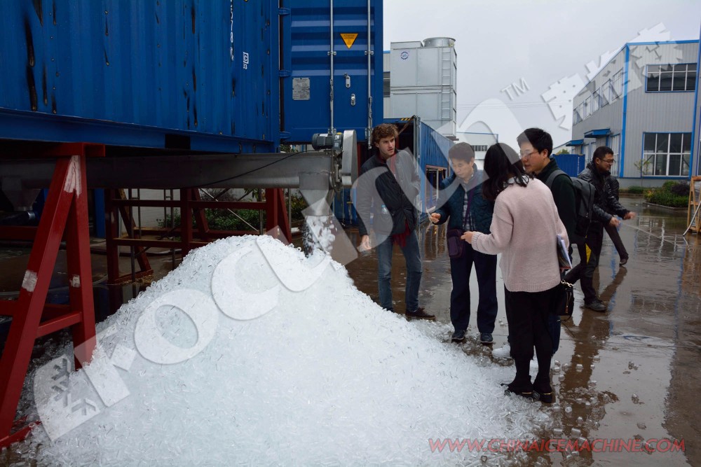 15 Ton Tube Ice Machine with Screw Ice Storage and Semi-Automatic Ice Packing Machine