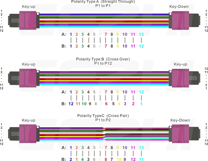 OM4 MPO patch cord.jpg
