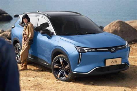 WM W6 Large Electric Cars 520KM 620KM New Energy Weltmeister Electric Car SUV