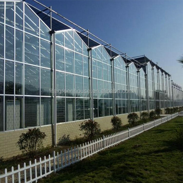 Food Grade PVC Planting Trough for Large-Scale Hydroponic Greenhouse Growing System