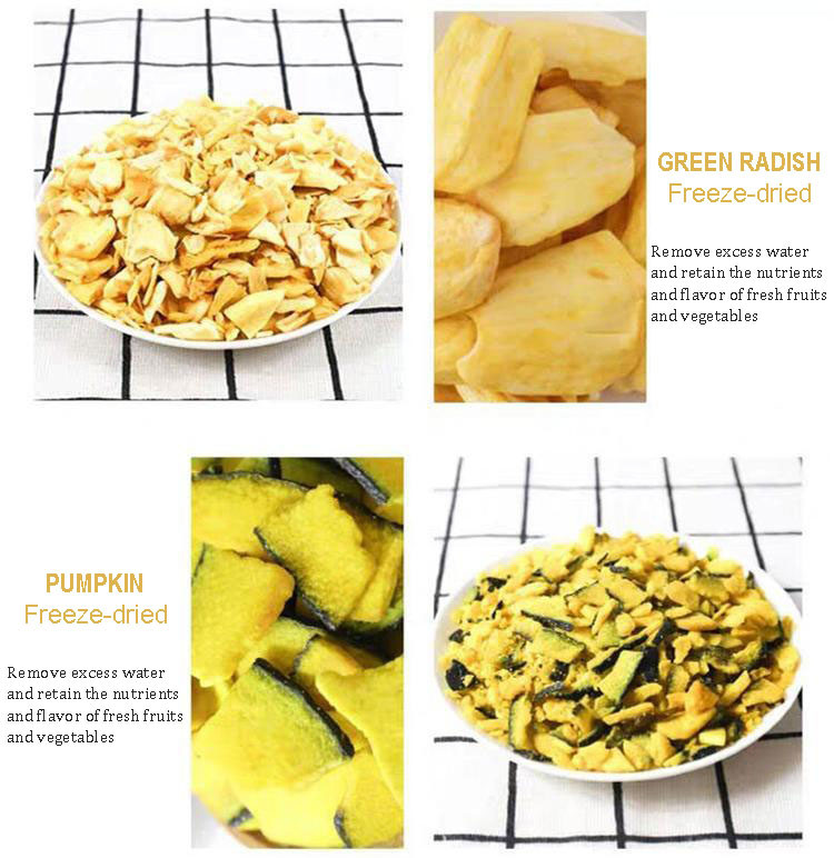 Vacuum Freeze Drying Equipment Vegetable Fruit Freeze-drying Machine