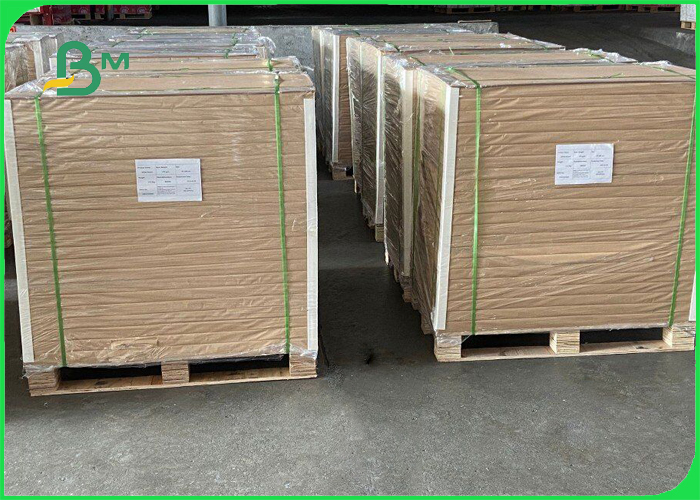 High Bulk 350gsm 1 / S FBB White Back For Pharmaceutical Package 36 x 38