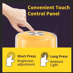 Sounds Adjustable 256RGB Color Silentnight Sunrise Sunset Alarm Clock Touch Control