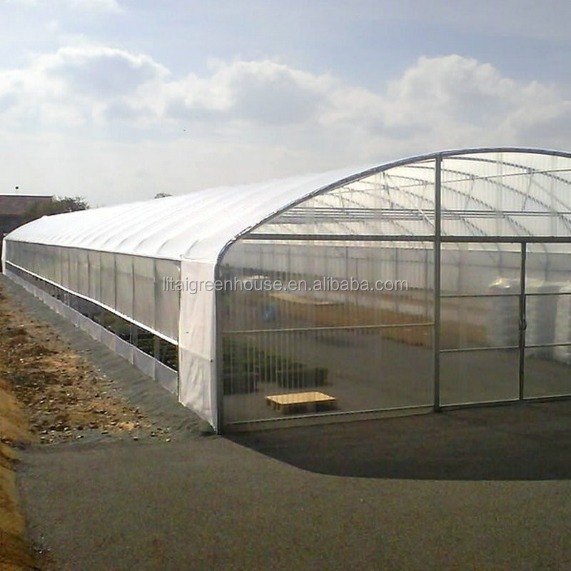 Large Height 3-10m Polytunnel Greenhouse The Ideal Growing Environment for Your Crops