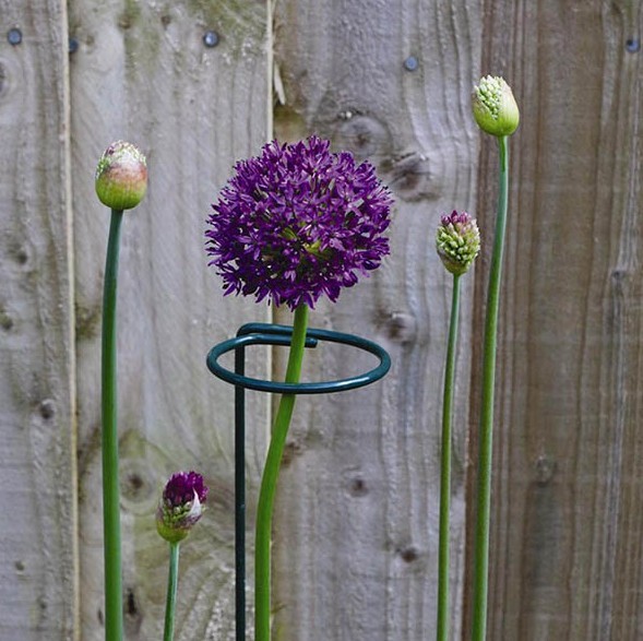 Metal Plant Support Stainless Steel Wire Forming Bright Surface For Potted Plants