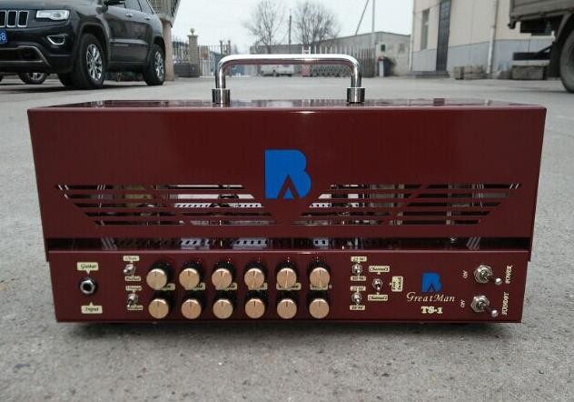 Rectifier Tube Guitar Amplifier Head 25W/10W with Jj Tubes Mesa Boogie Rectifier Style Metal Cabinet